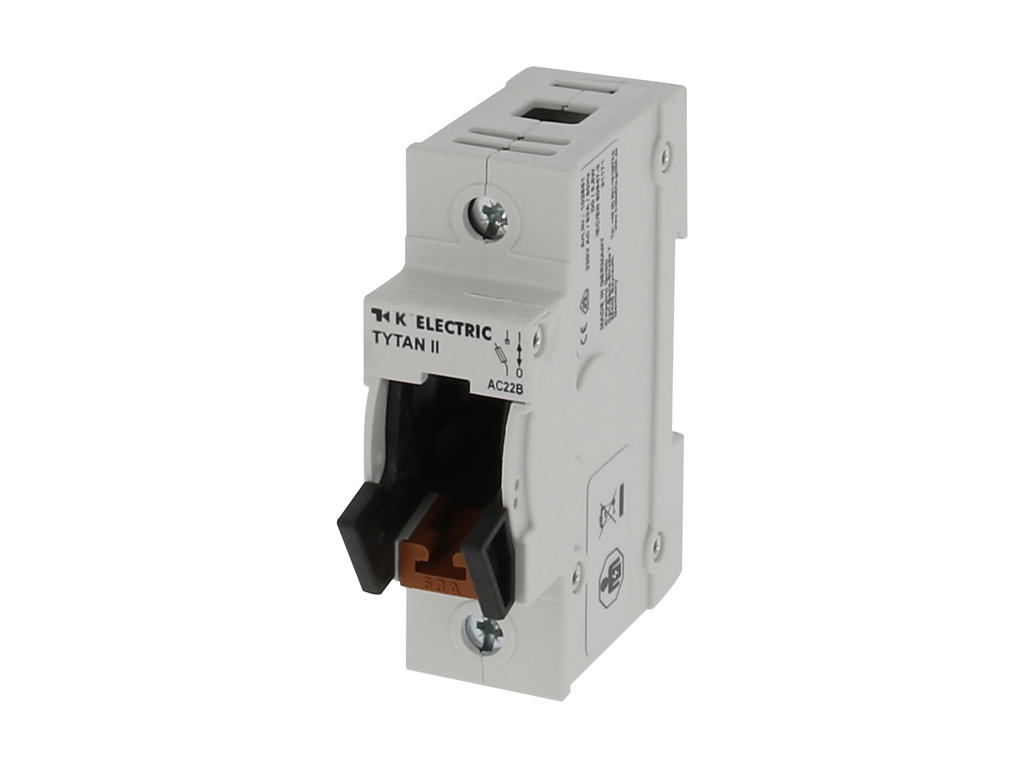 TYTAN® II Gruppeafbryder 1-63A, 1P