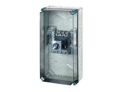 Mi kasse med maksimalafbryder 250A, 600x300x262 mm