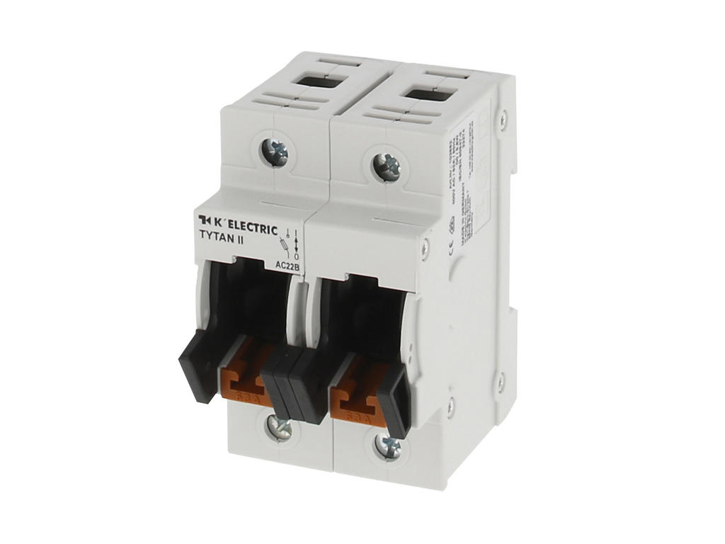 TYTAN® II Gruppeafbryder 1-63A, 2P