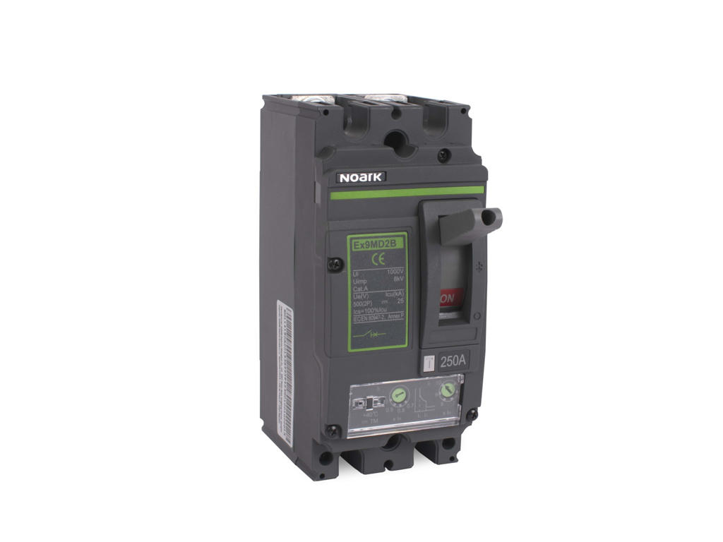 Noark M2 maksimalafbryder AC 250A 2P