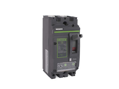 Noark M2 maksimalafbryder AC 250A 2P