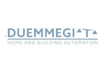 Duemmegi