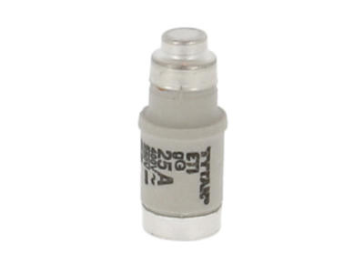TYTAN® D02 sikring, 25A